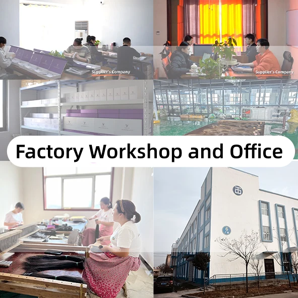 Our Factory History 2